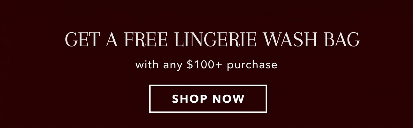 Free Lingerie Washbag with $100 Purchase [Shop Now]