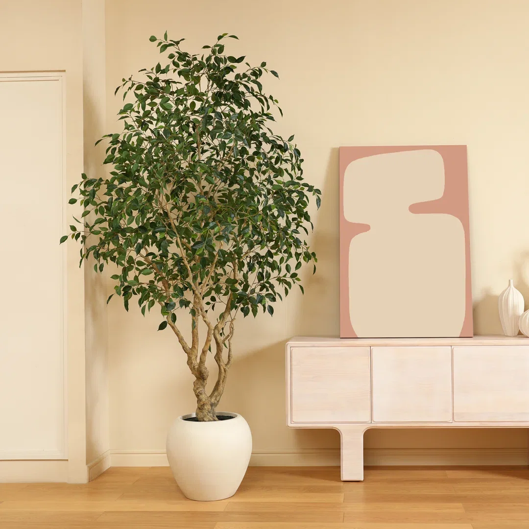 Adcock 8' H Artificial Ficus Tree in 18" White Planter