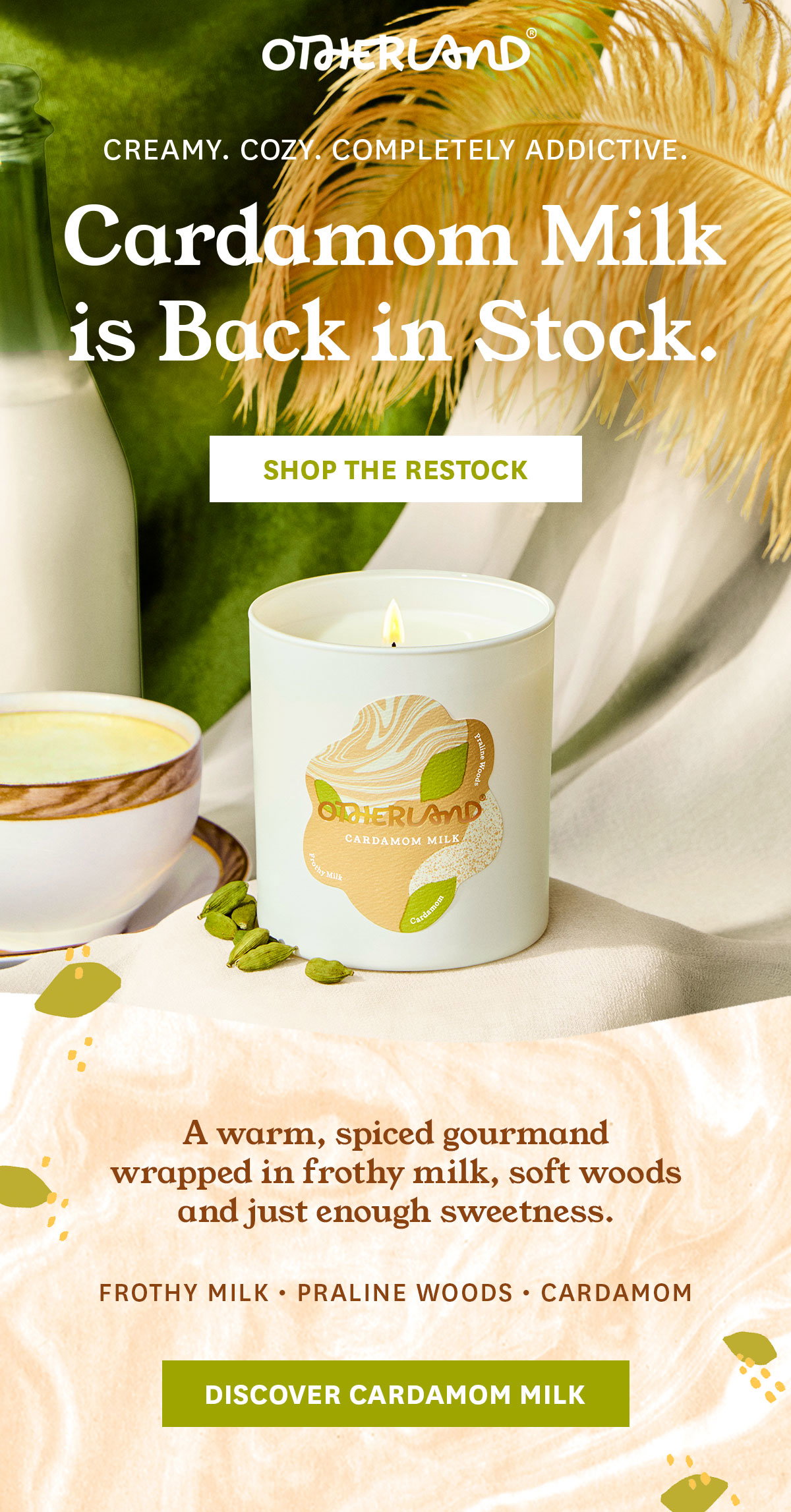 Back in Stock: Cardamom Milk