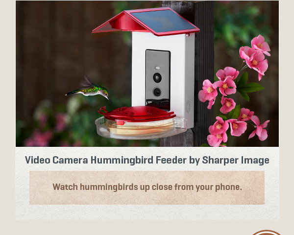 Video Camera Hummingbird Feeder by Sharper Image