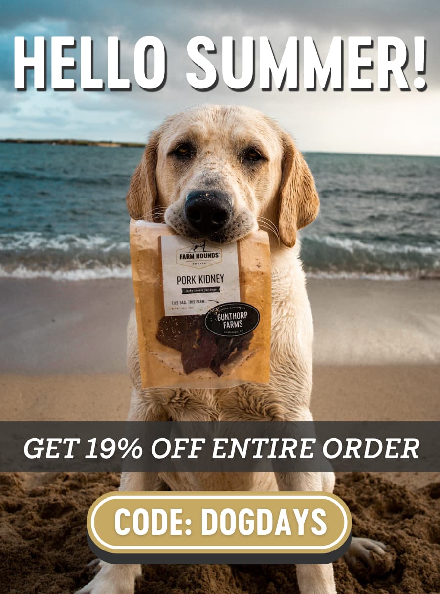 Dog holding a bag in it's mouth on the beach. Get 19% OFF entire order. Code: DOGDAYS