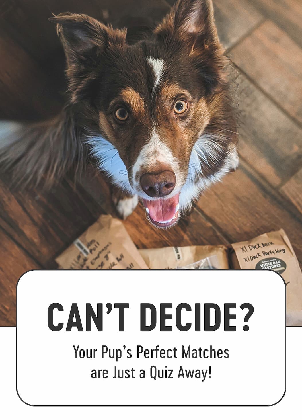 take the quiz