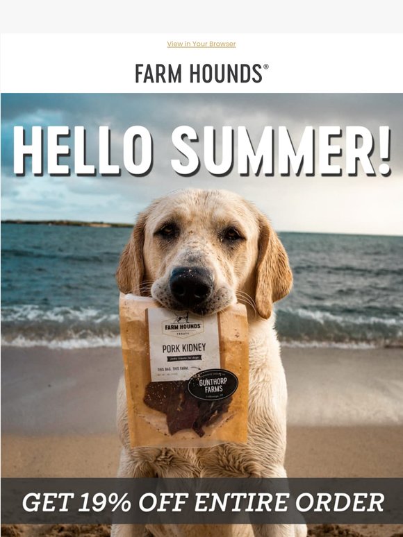 Summer's here. Your dog knows. 🌞