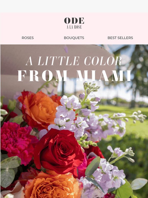 A Little Color From Miami 💐