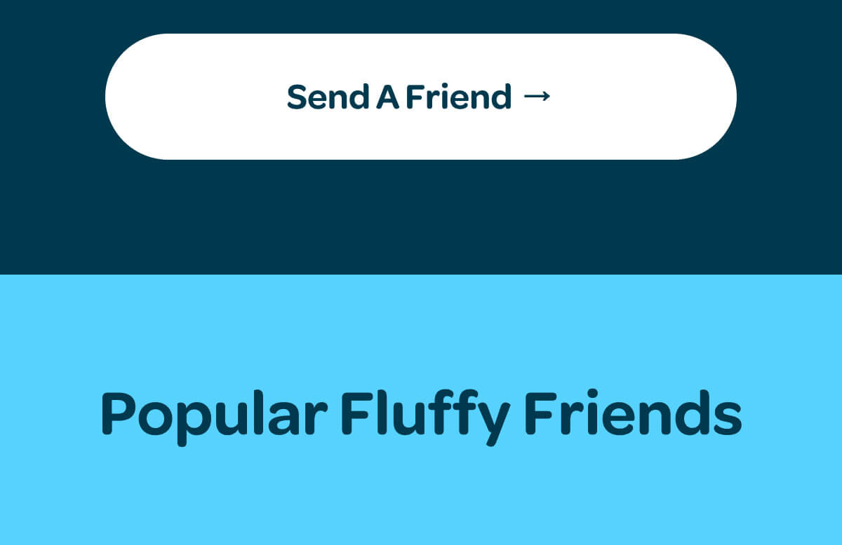 [Send A Friend] Popular Fluffy Friends