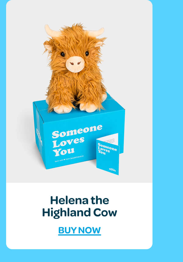 [Shop Helena the Highland Cow]