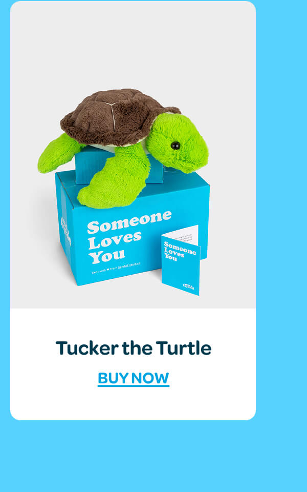 [Shop Tucker the Turtle]