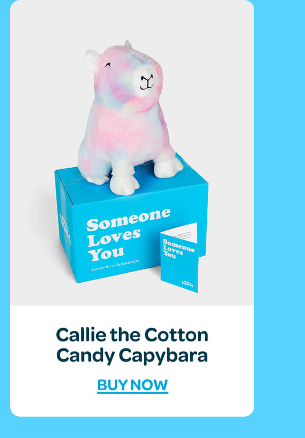 [Shop Callie the Cotton Candy Capybara]