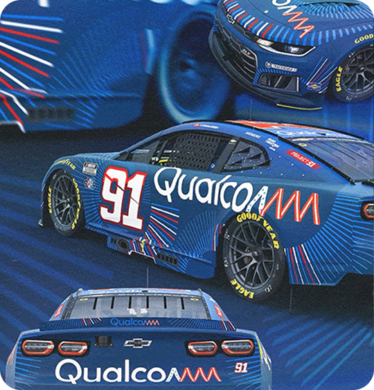 91 Paint Scheme 