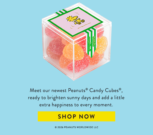 New Snoopy Summer Treats
