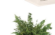 Beauclaire Planter