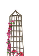 Bunny Williams Clayton Trellis