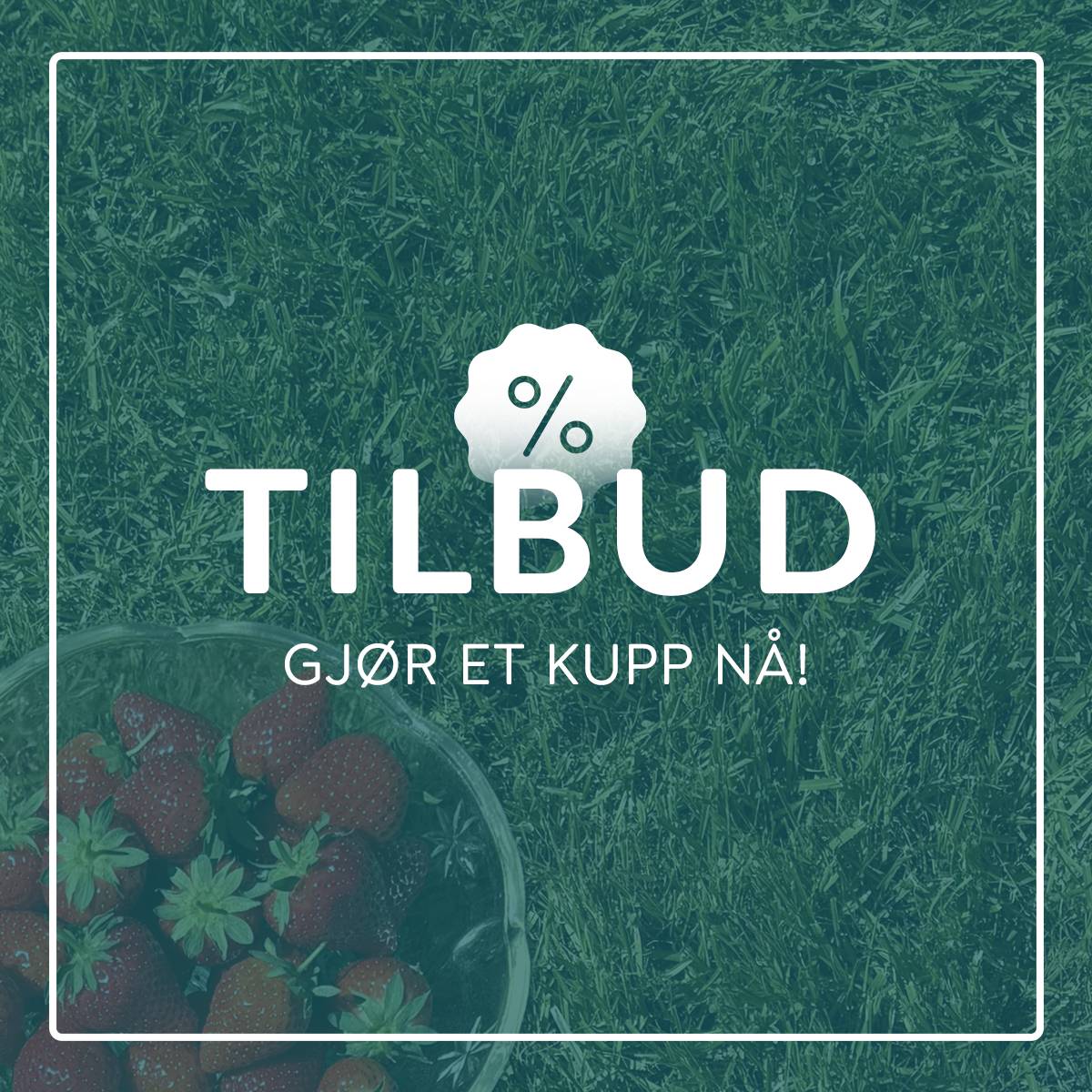 Gjør et kupp på barneklær hos DressMyKid – se aktuelle tilbud på klær, sko og tilbehør til barn.