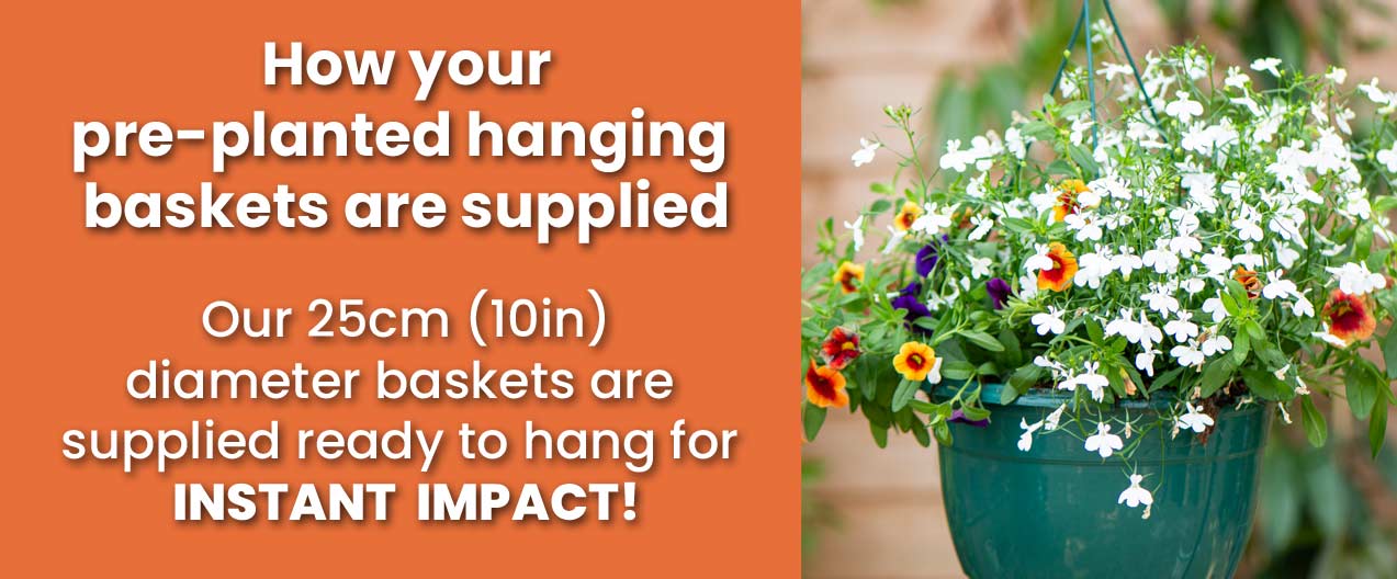 How your baskets are supplied