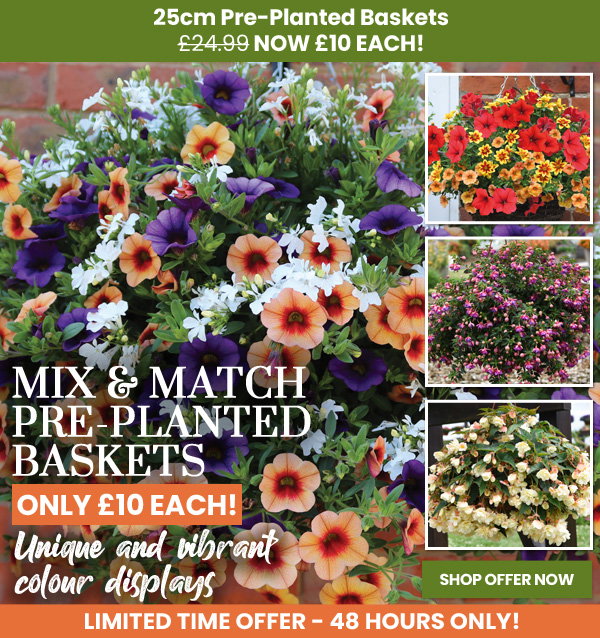 Mix & Match Baskets