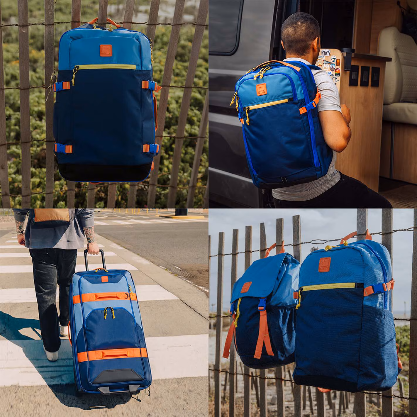 shop alpha collection