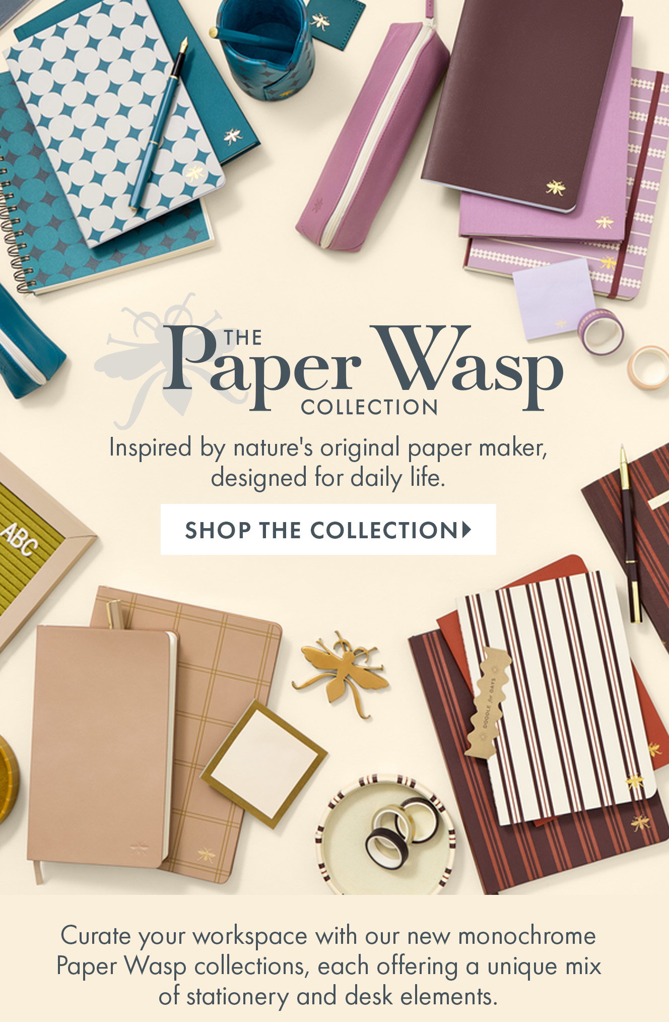 Paper Wasp Collection