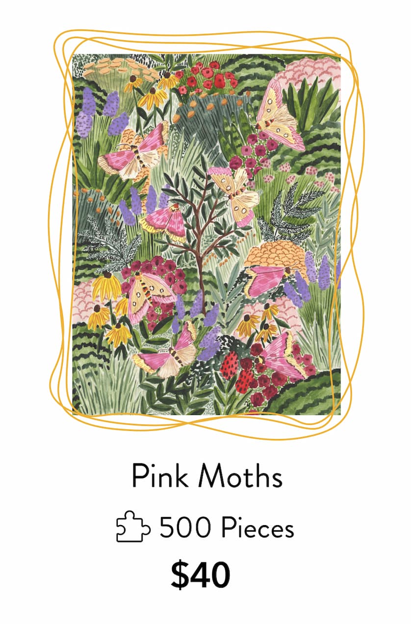 Pink Moths