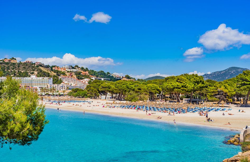 Turquoise Mediterranean beach with sunbeds and umbrellas, pine-tree backed golden sand, hillside hotels and clear blue sky