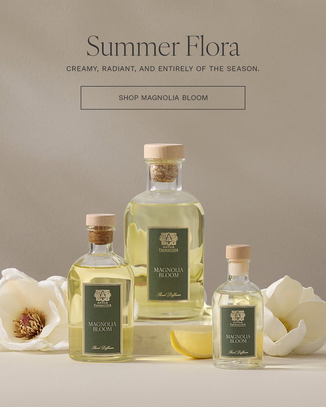 Your Guide to the World of Fragrance — Explore Now