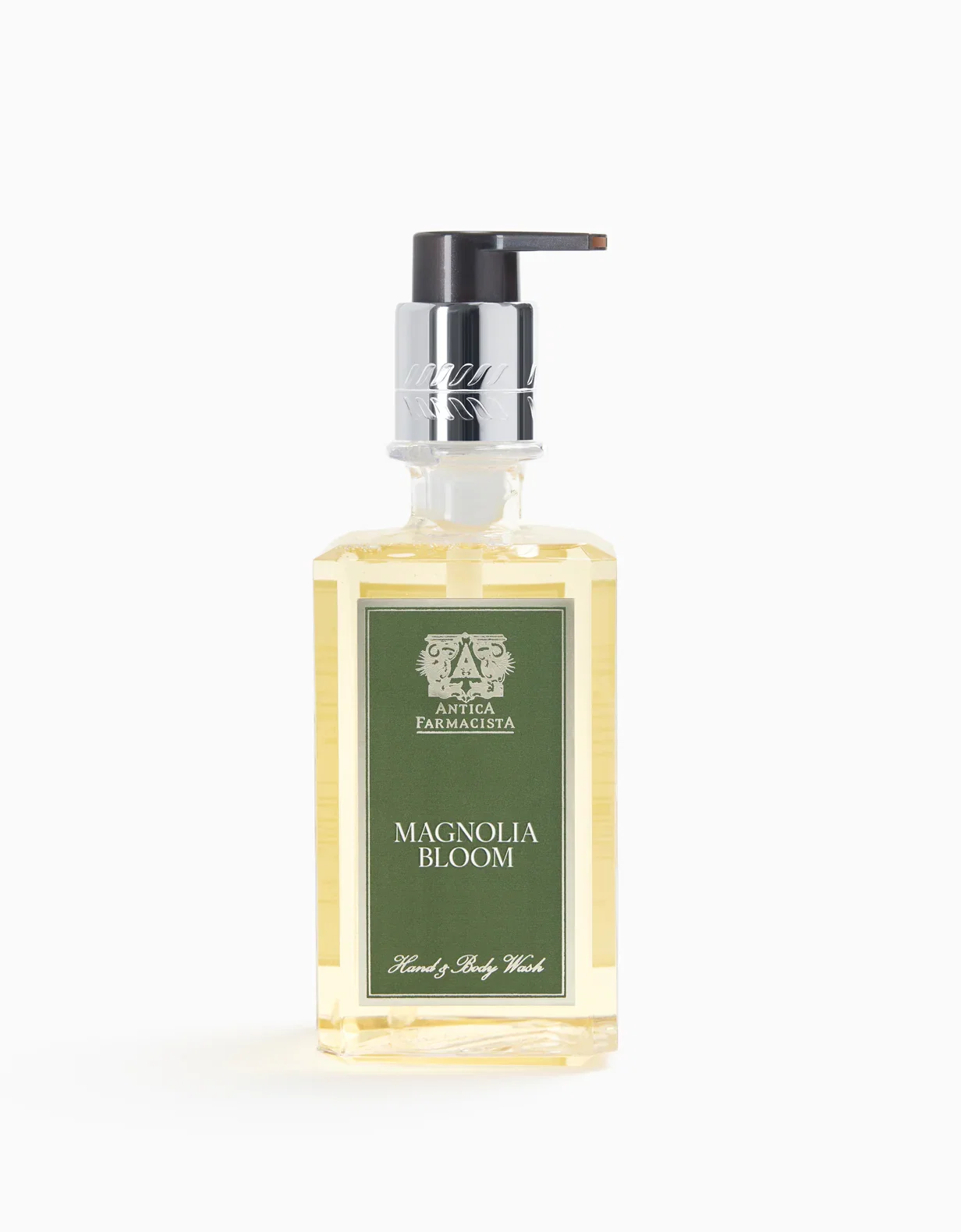 Image of MAGNOLIA BLOOM
