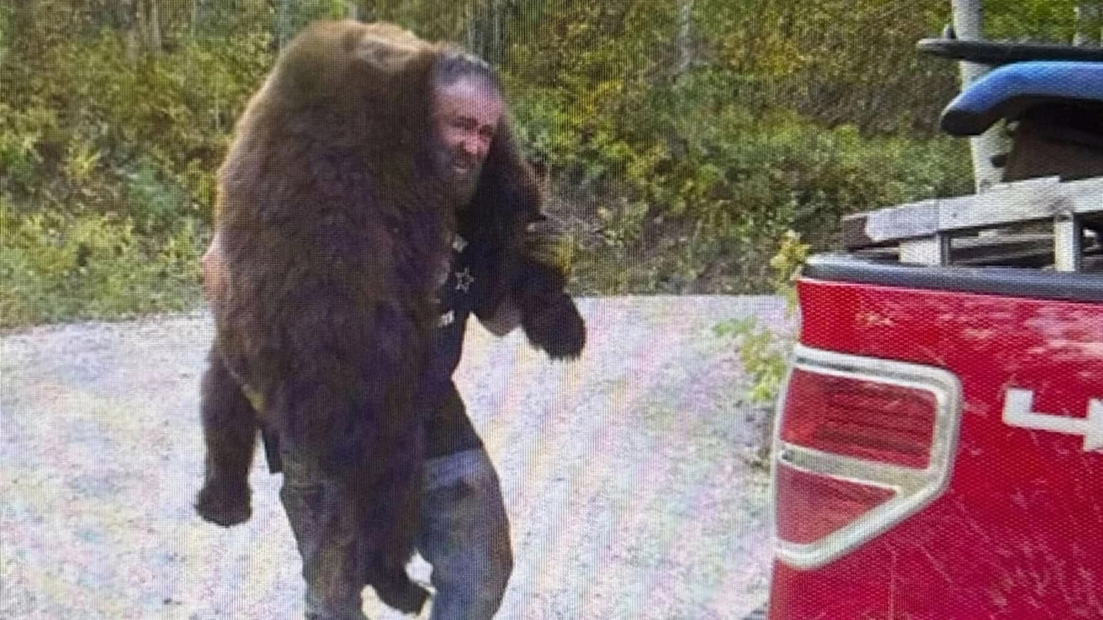 illegal bear guide