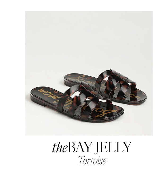 The Bay Jelly | Tortoise