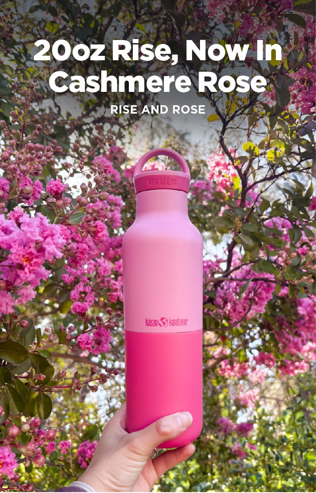 New Cashmere Rose - 20oz RIse