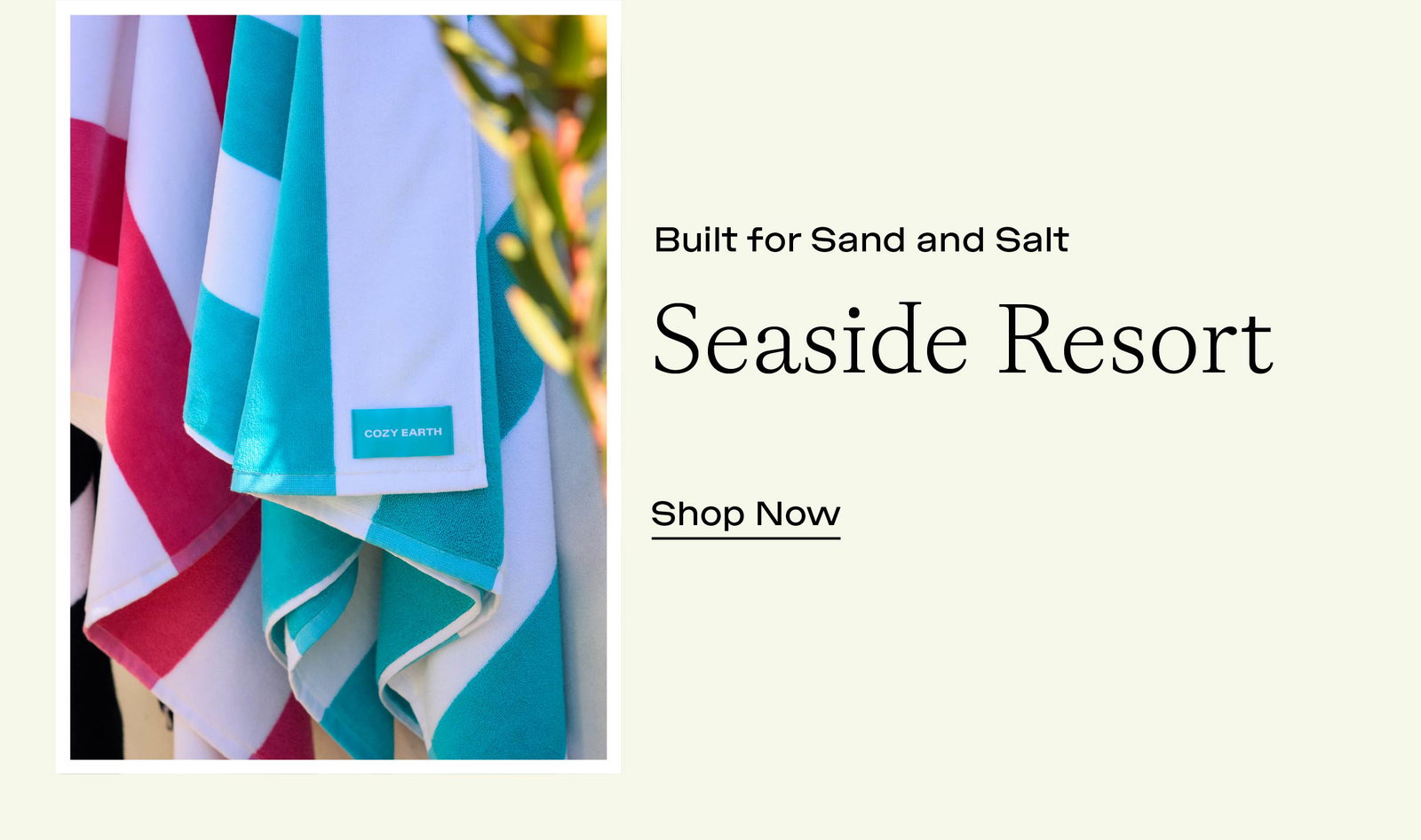 Shop Seaside Resort