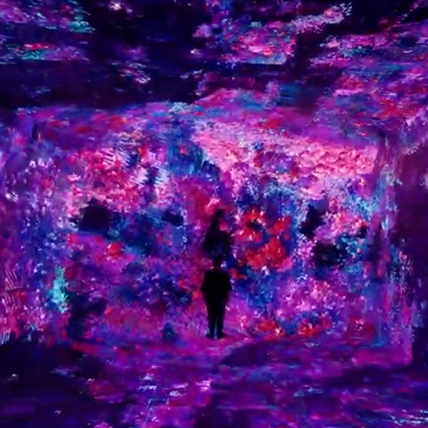 Silhouette in an immersive pink and blue digital floral installation.