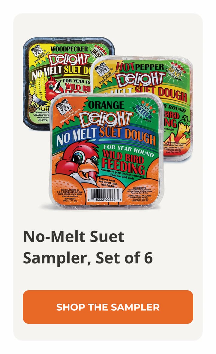 No-Melt Suet Sampler, Set of 6