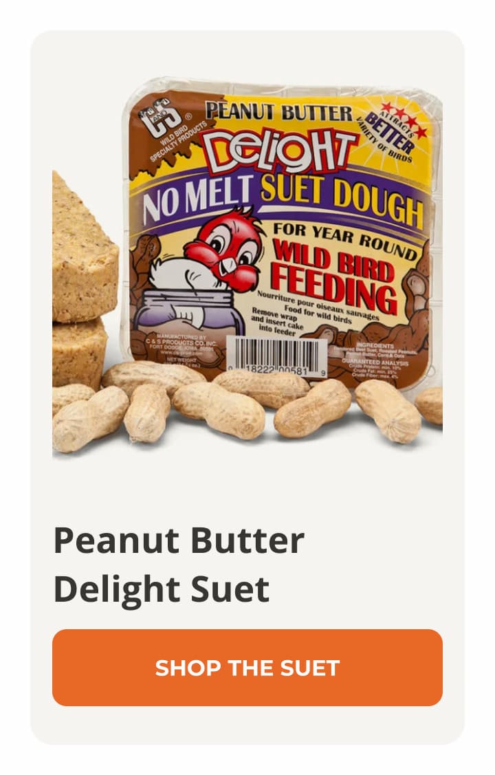 Peanut Butter Delight Suet