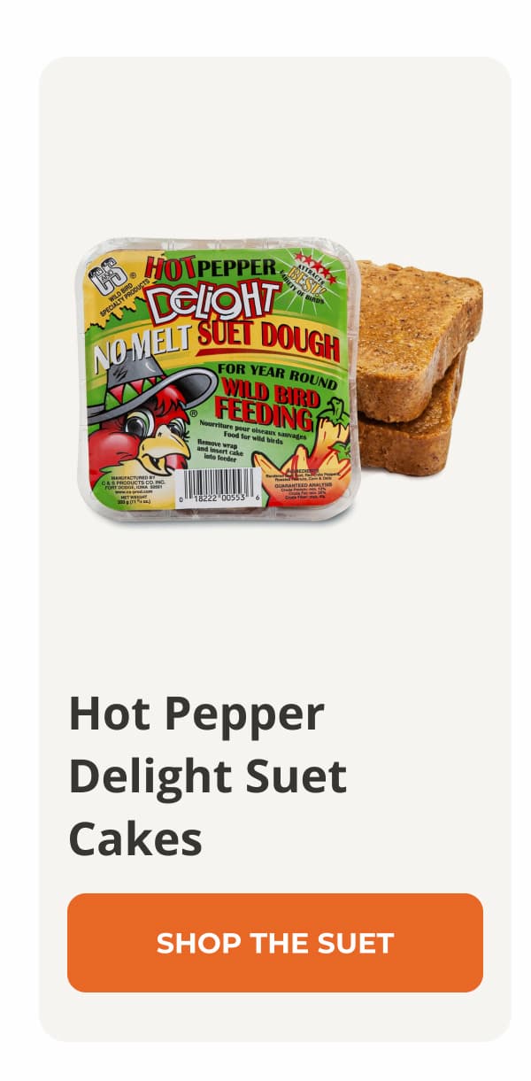 Hot Pepper Delight Suet Cakes