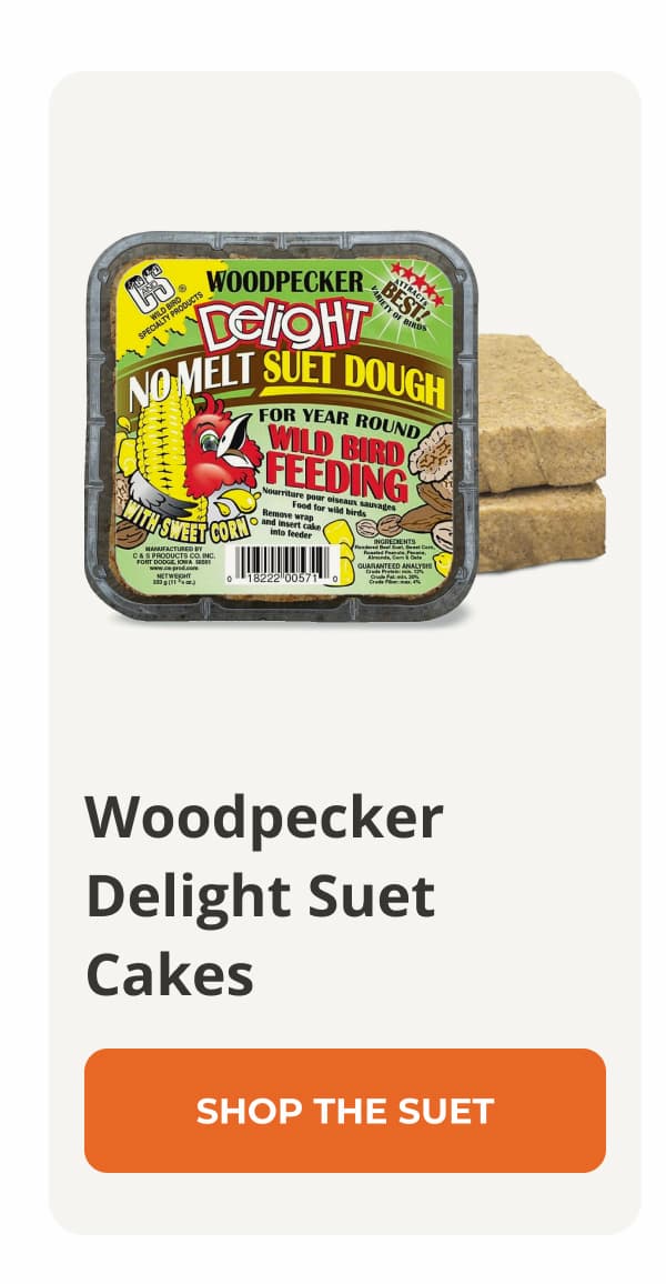 Woodpecker De