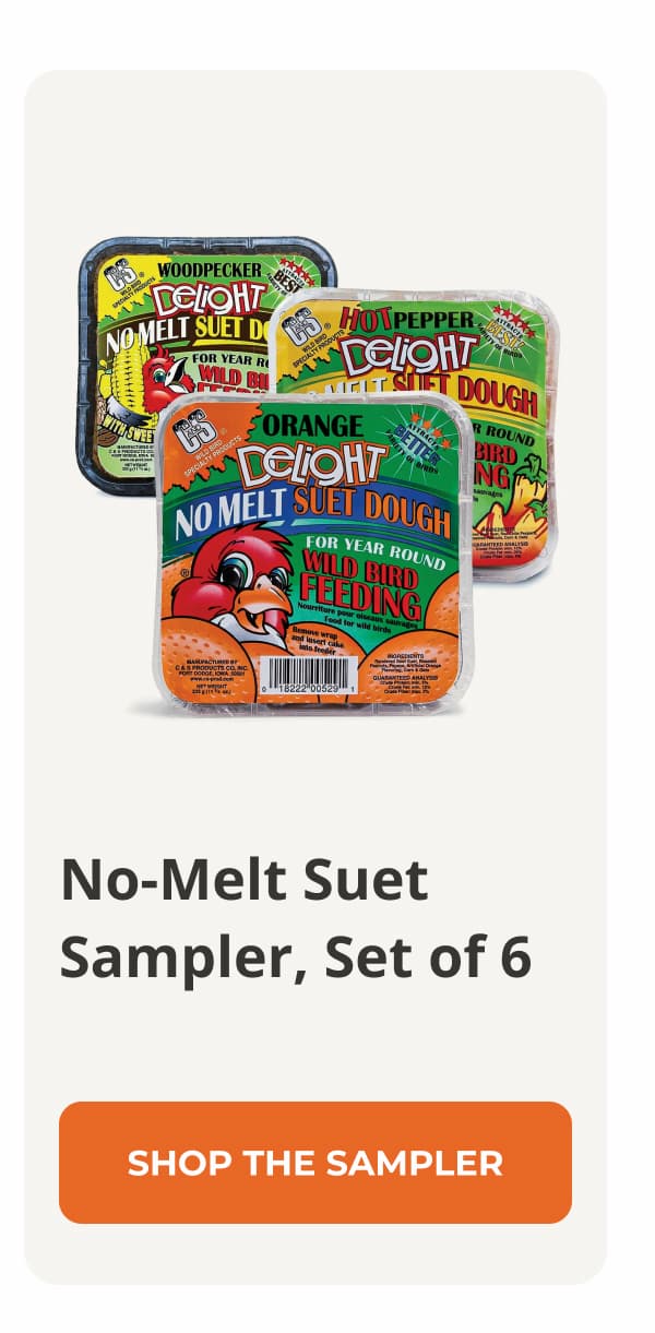 No-Melt Suet Sampler, Set of 6