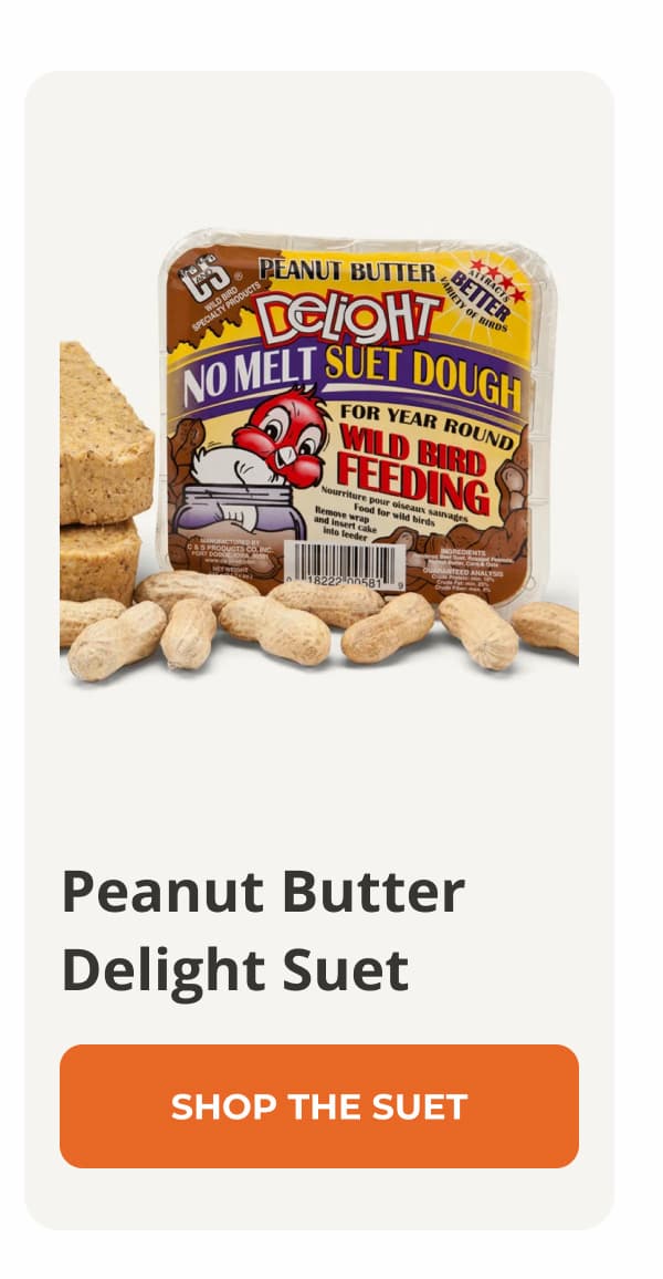 Peanut Butter Delight Suet