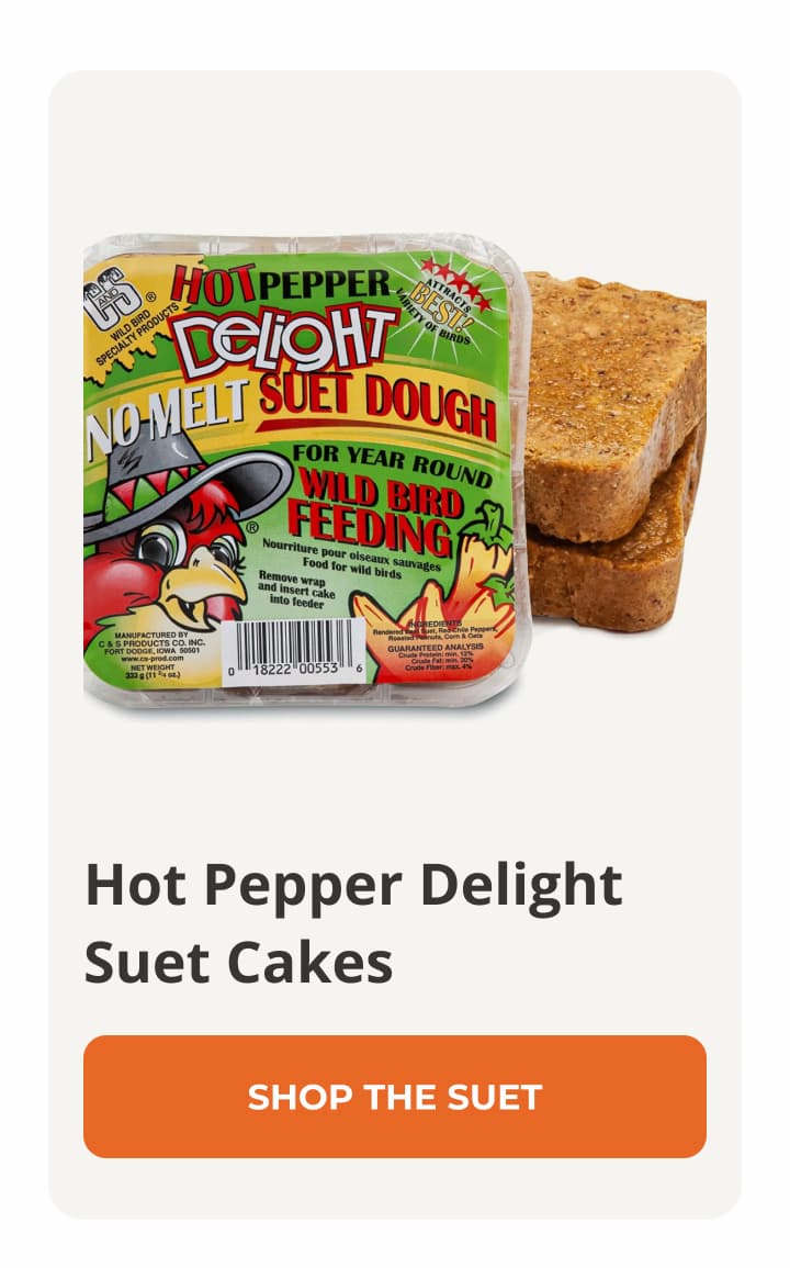 Hot Pepper Delight Suet Cakes