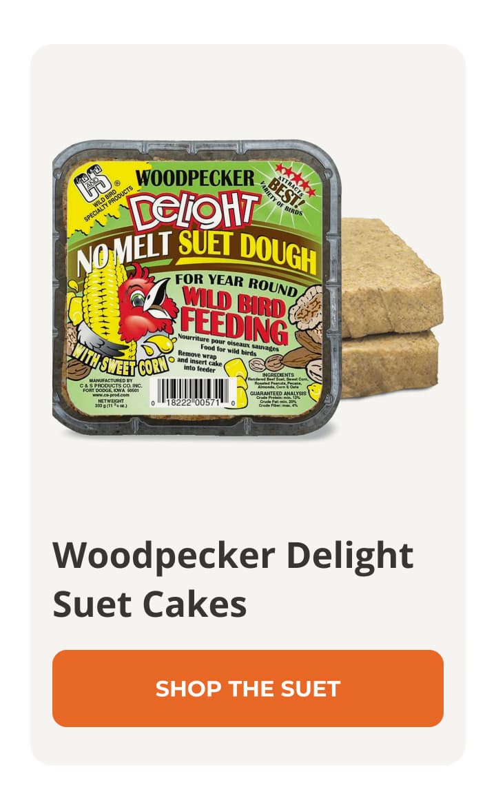 Woodpecker De