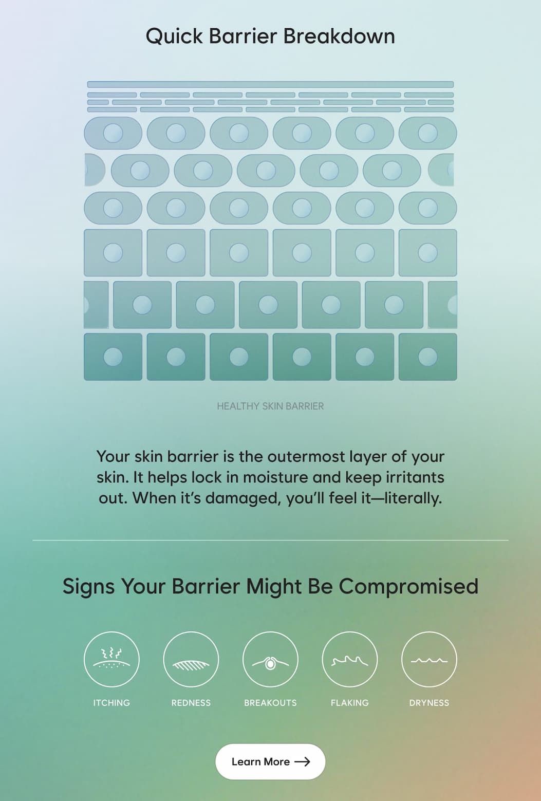 QUICK BARRIER BREAKDOWN  Your skin barrier is the outermost layer of your skin.  It helps lock in moisture and keep irritants out.  When it's damaged, you'll feel it - literally.  SIGNS YOUR BARRIER MIGHT BE COMPROMISED  ITCHING REDNESS BREAKOUTS FLAKING DRYNESS