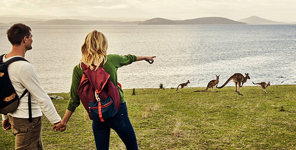 Paar steht an einer Klippe und schaut auf das Meer und springende Kängurus.