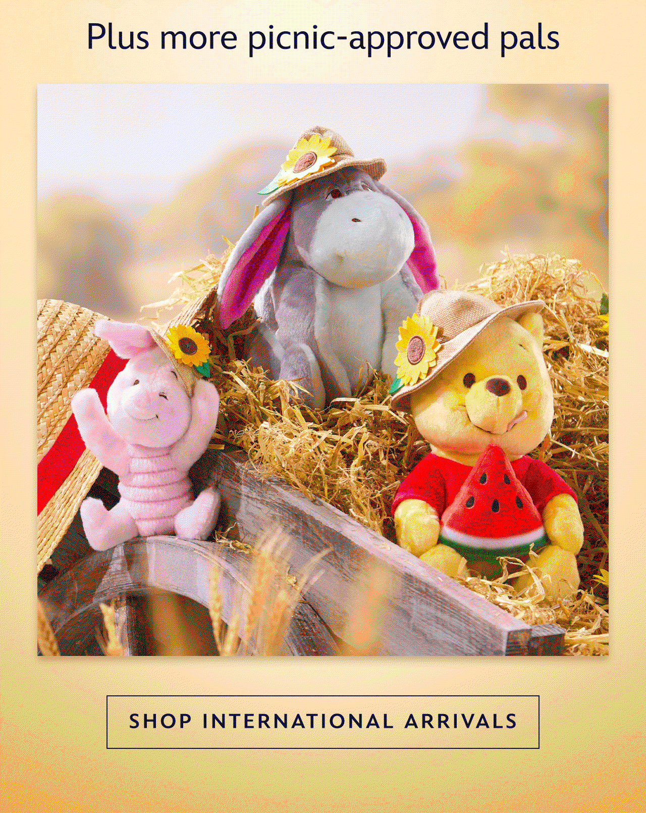 Plus more picnic-approved pals | Shop International Arrivals