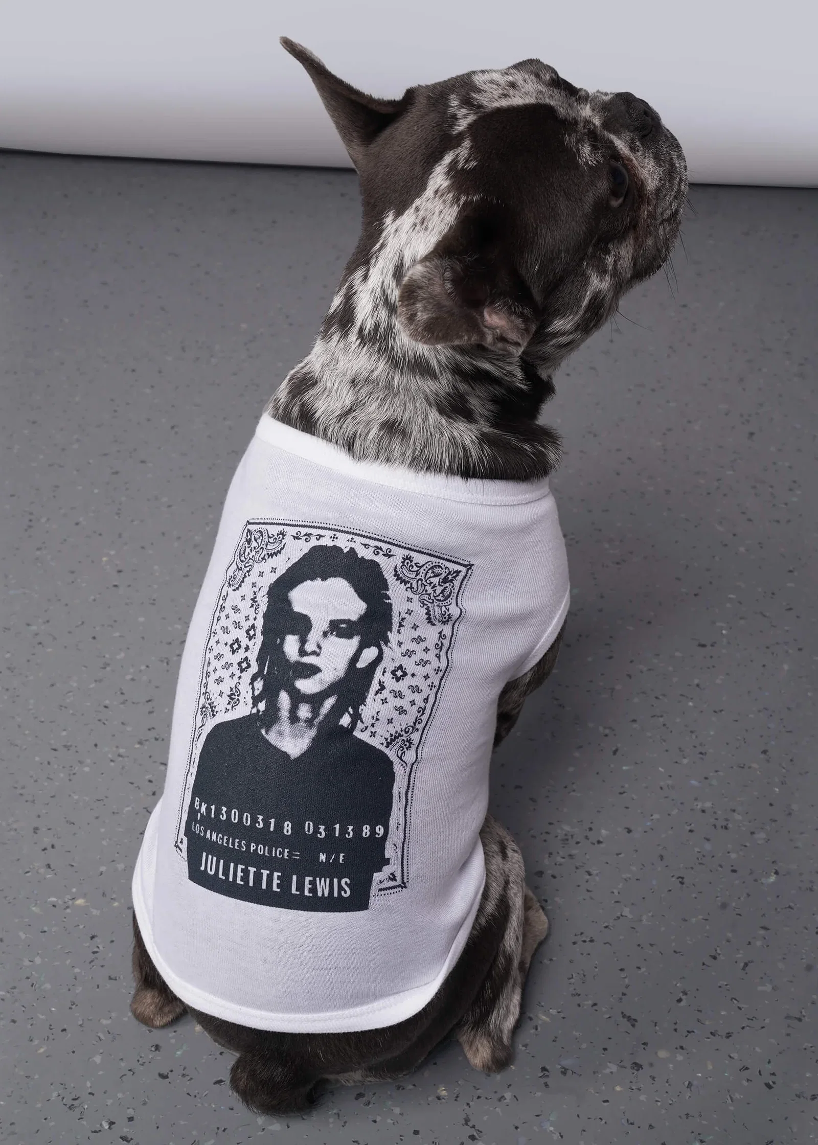 Image of Juliette Lewis X Wildfang Bandit Dog Tee