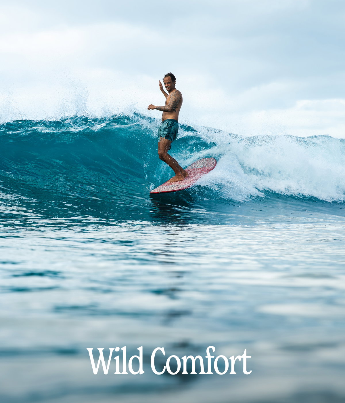 Wild Comfort
