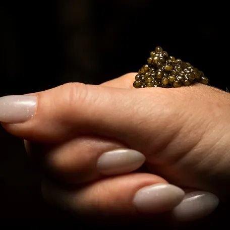 A caviar bump served during The Rare Tour dinner at Prime and Proper in Nashville, Tenn., Tuesday, June 9, 2026. The dinner featured items from Prime and Proper as well as Stockholm’s AG.