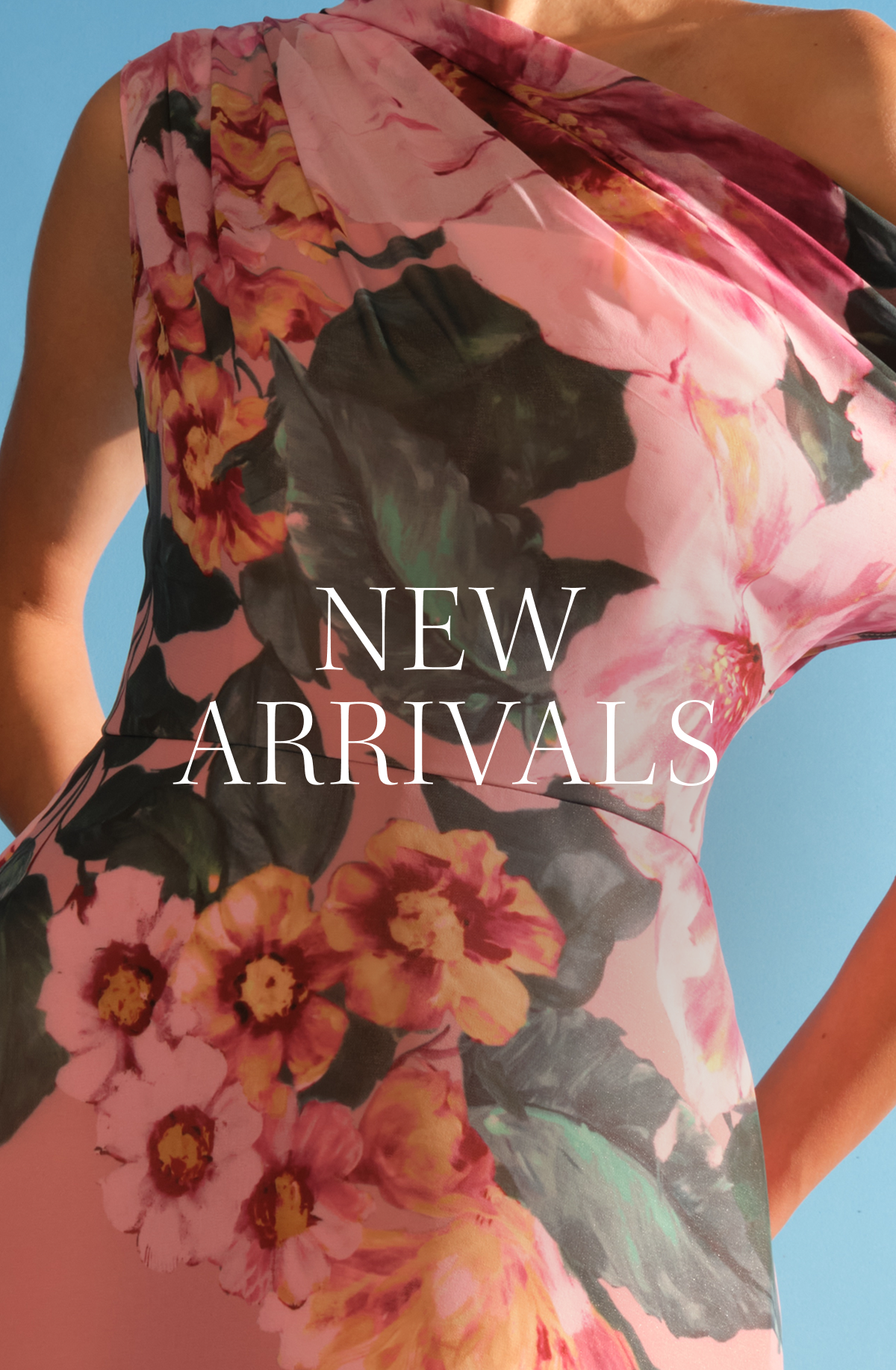 New Arrivals 