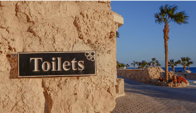 Image of a public toilet sign on a large rock in a warm, european country.