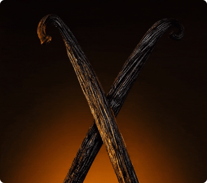Spotlight on Vanilla