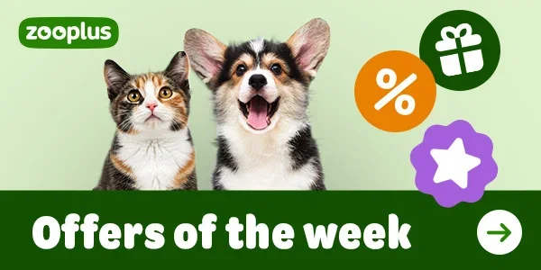 Special Offers