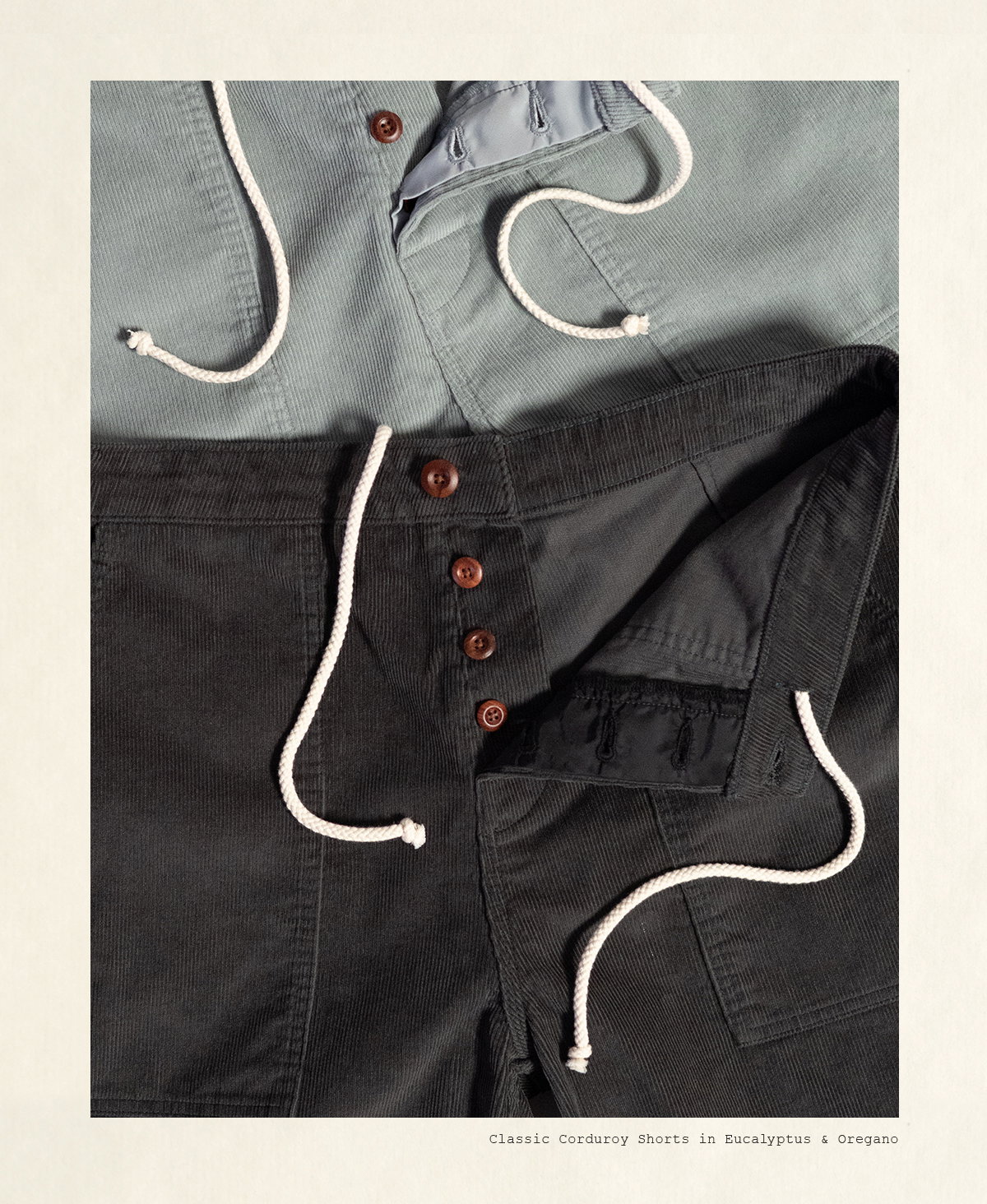 Classic Corduroy Shorts in Eucalyptus & Oregano