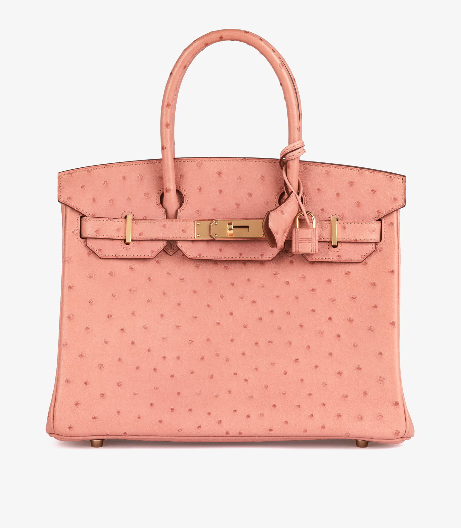 Terre Cuite Ostrich Leather Birkin 30cm